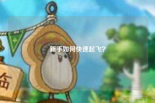 新手如何快速起飛？