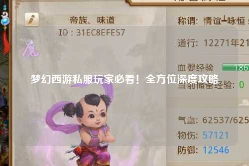 夢幻西游私服玩家必看！全方位深度攻略
