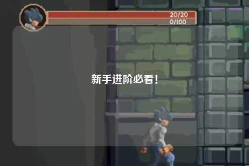 新手進(jìn)階必看！