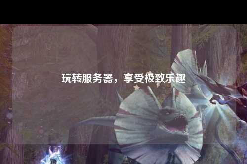 玩轉(zhuǎn)服務(wù)器，享受極致樂(lè)趣