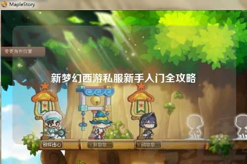 新夢(mèng)幻西游私服新手入門(mén)全攻略