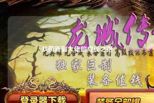 從萌新到大佬的成長(zhǎng)之路