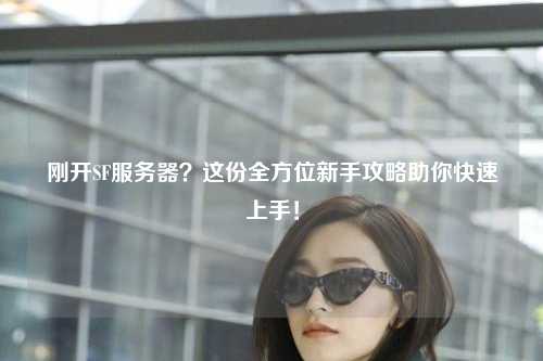 剛開SF服務(wù)器？這份全方位新手攻略助你快速上手！