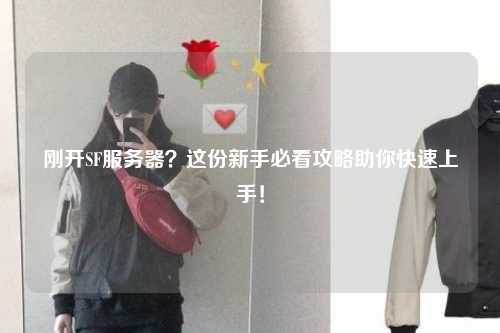 剛開SF服務(wù)器？這份新手必看攻略助你快速上手！