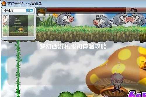 夢幻西游私服初體驗(yàn)攻略