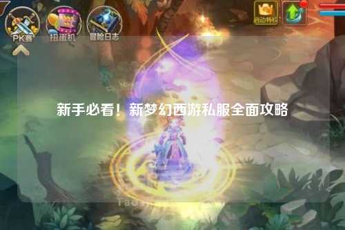 新手必看！新夢(mèng)幻西游私服全面攻略