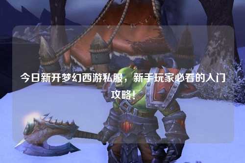 今日新開夢幻西游私服，新手玩家必看的入門攻略！
